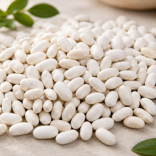 White Kidney Bean Extract TriBlock7